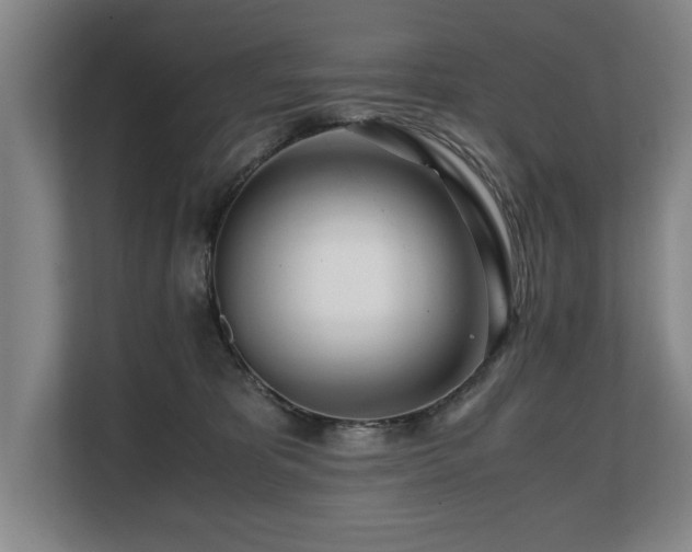 X0000108480325200904031435