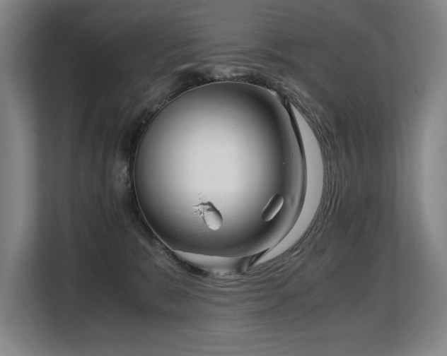 X0000108480327200904031435