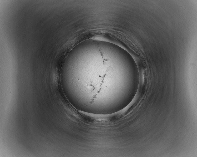 X0000108480328200904031435