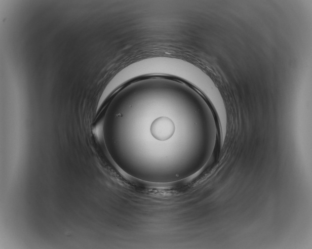 X0000108480332200904031435