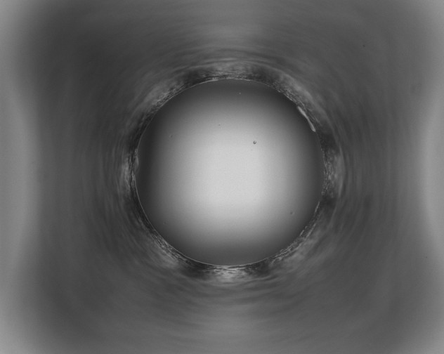 X0000108480333200904031435
