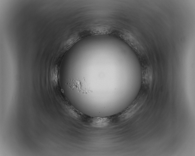 X0000108480334200904031435