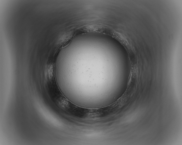 X0000108480335200904031435