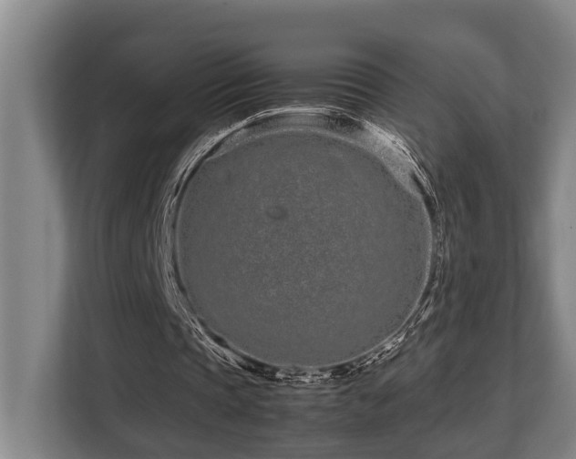 X0000108480337200904031434
