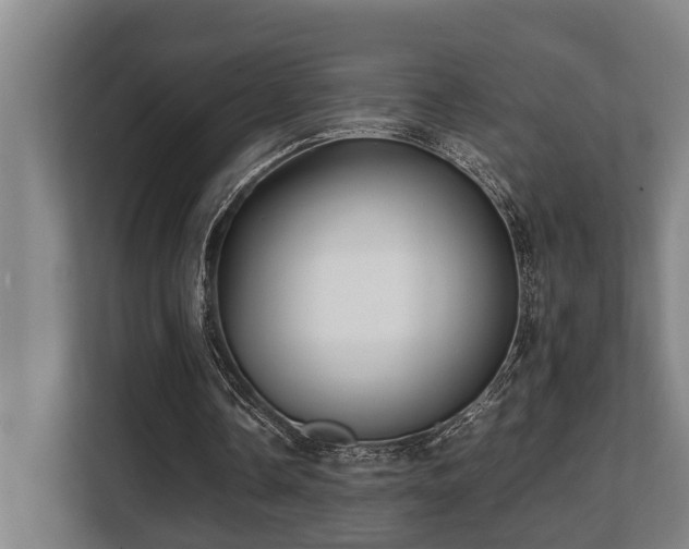 X0000108480338200904031434