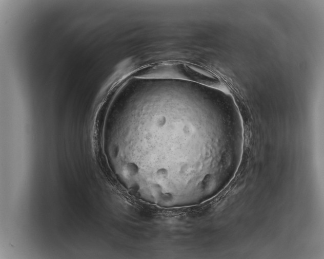 X0000108480339200904031434