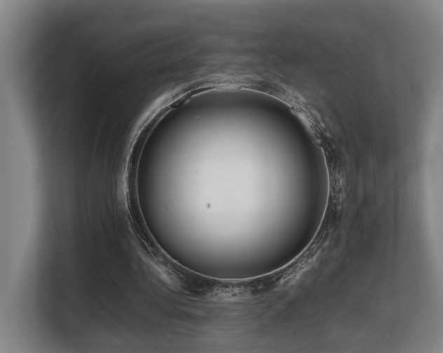 X0000108480340200904031434