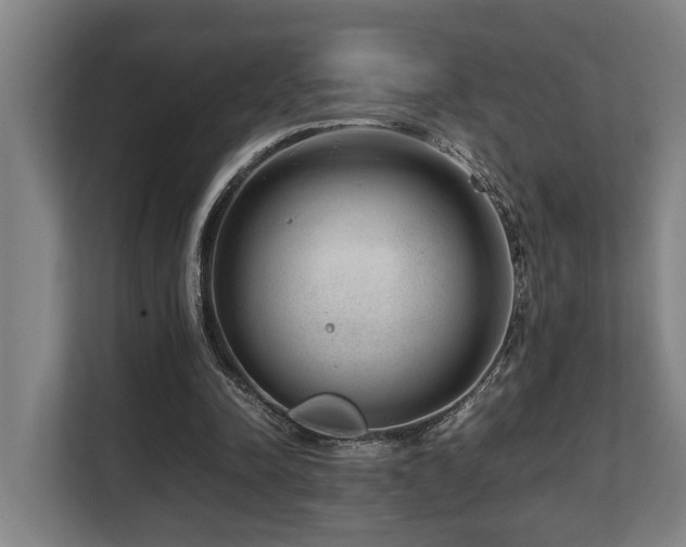 X0000108480342200904031434