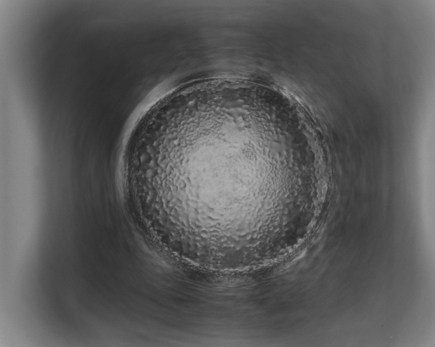 X0000108480343200904031434