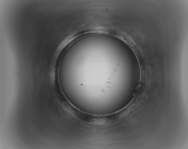 X0000108480344200904031434