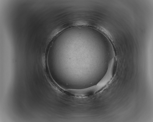 X0000108480345200904031434
