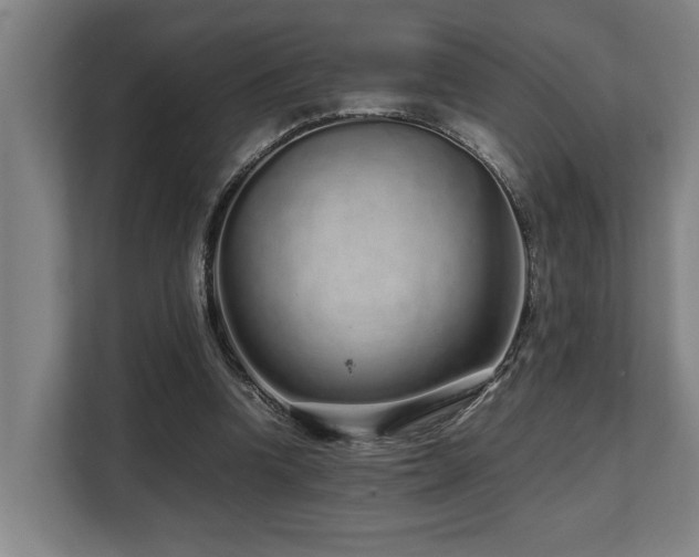 X0000108480346200904031434