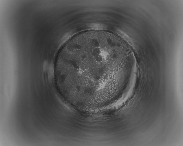 X0000108480347200904031434
