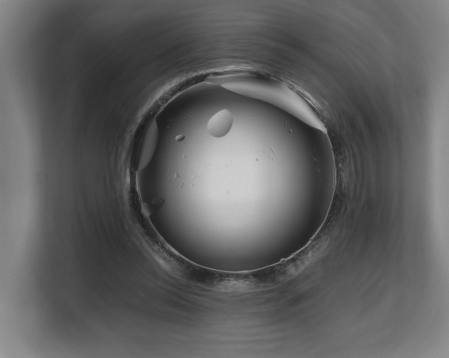 X0000108480350200904031434
