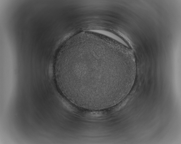X0000108480353200904031434