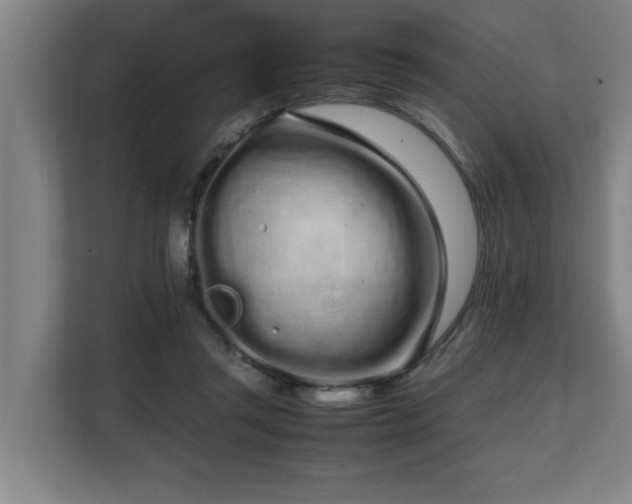 X0000108480357200904031434
