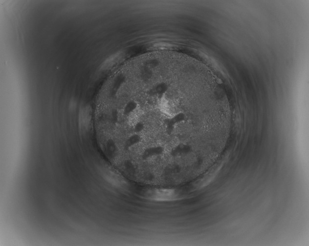 X0000108480361200904031434