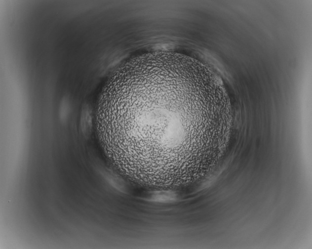 X0000108480363200904031434