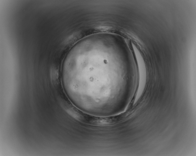 X0000108480365200904031434