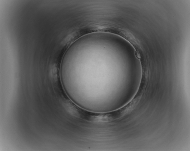 X0000108480366200904031434