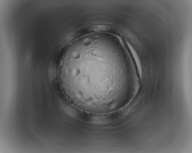 X0000108480367200904031434