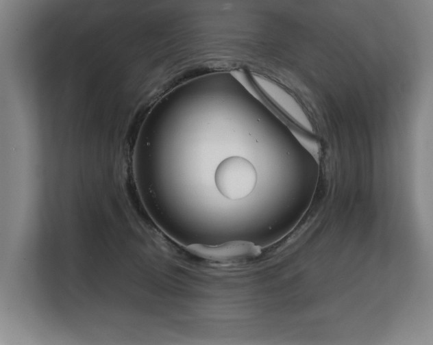 X0000108480370200904031434