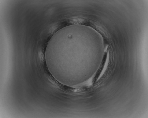 X0000108480371200904031434