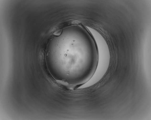 X0000108480375200904031434