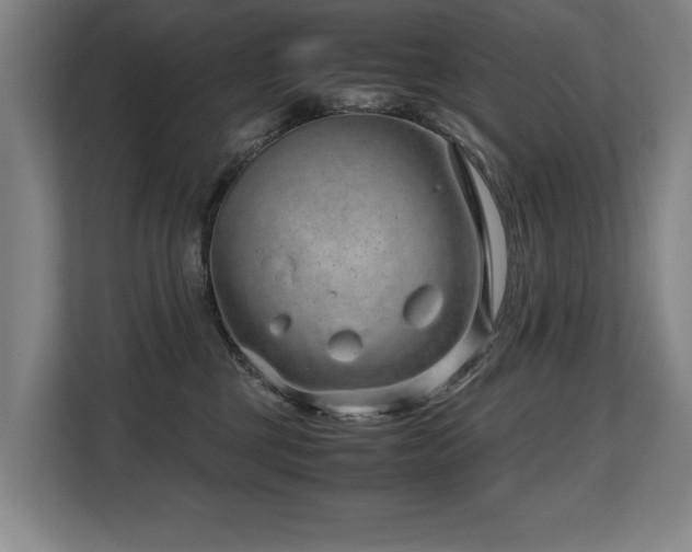 X0000108480377200904031434