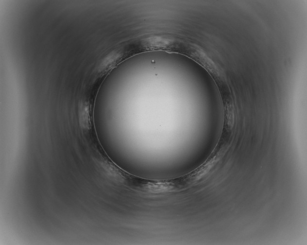 X0000108480378200904031434