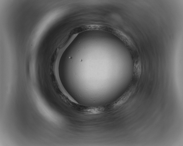 X0000108480381200904031434