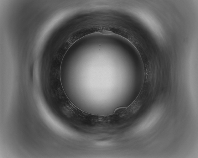 X0000108480383200904031434