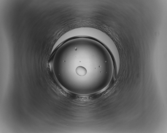 X0000108480384200904031434