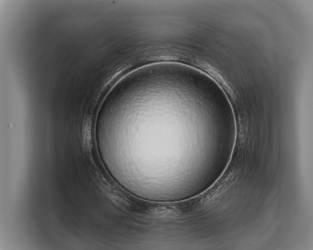 X0000108480386200904031434