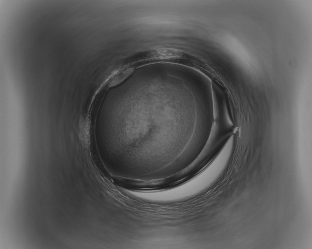X0000108480387200904031434