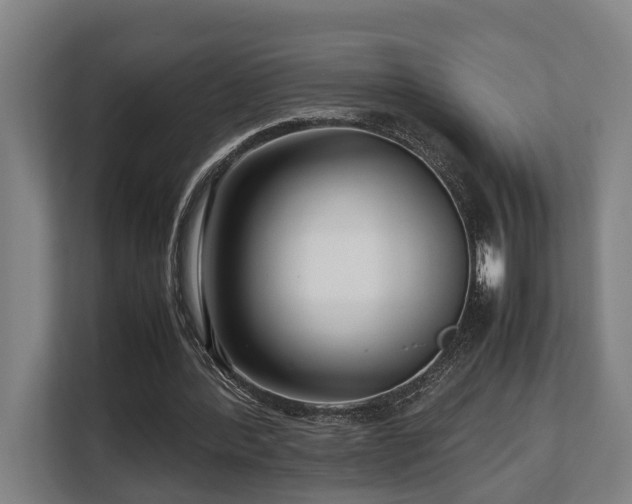 X0000108480388200904031434