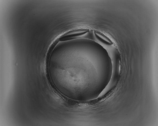 X0000108480391200904031434