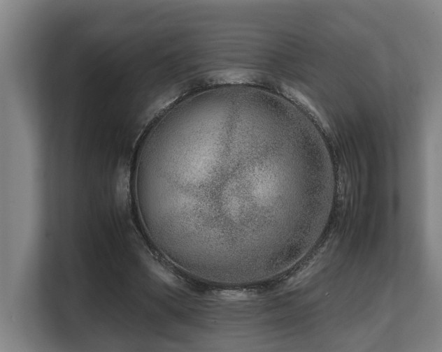 X0000108480394200904031434