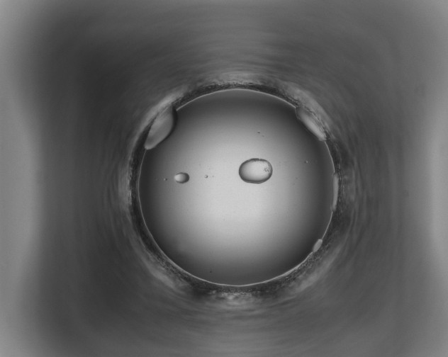 X0000108480395200904031434