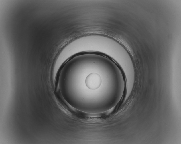 X0000108480397200904031434