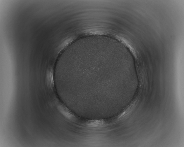 X0000108480398200904031434
