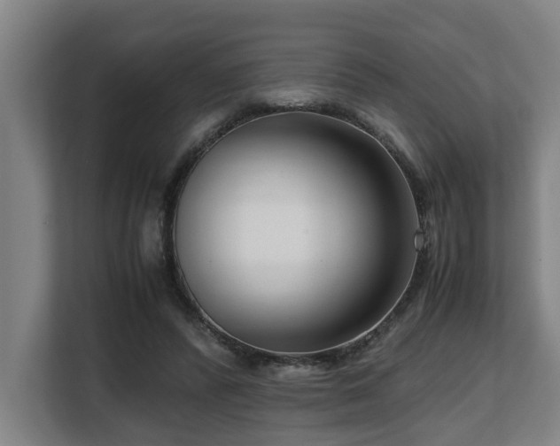 X0000108480400200904031434