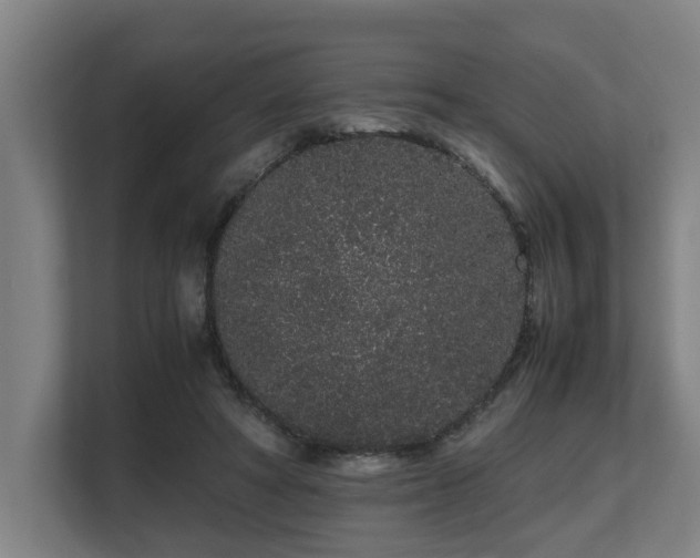 X0000108480402200904031434