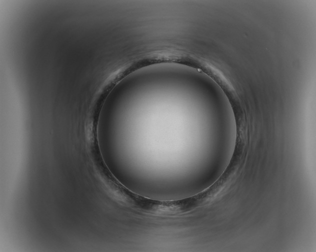 X0000108480403200904031434