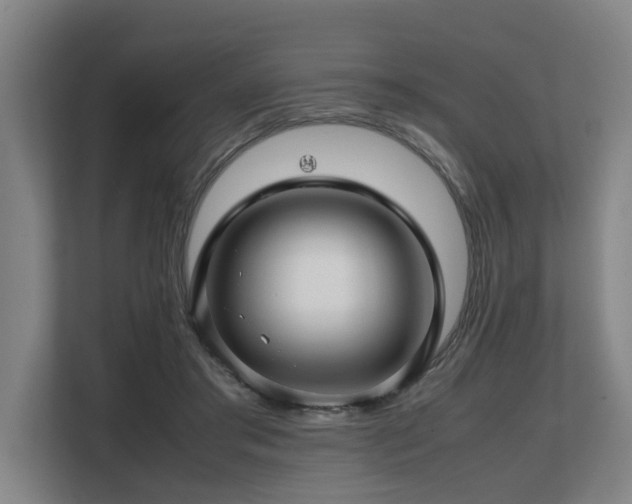 X0000108480405200904031434