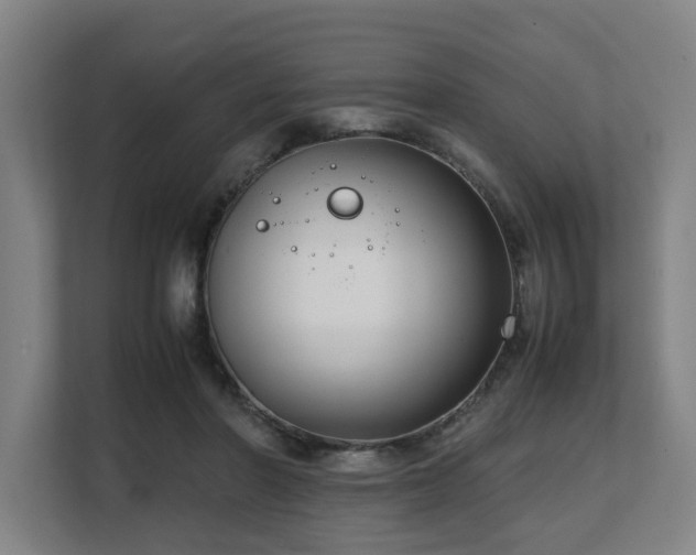 X0000108480406200904031434