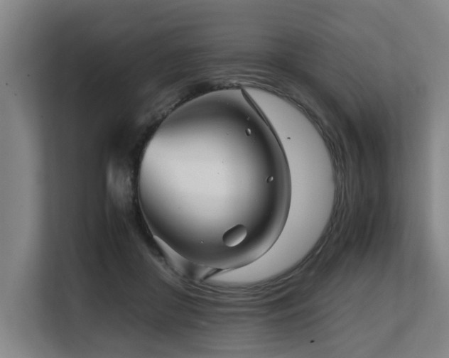 X0000108480410200904031434