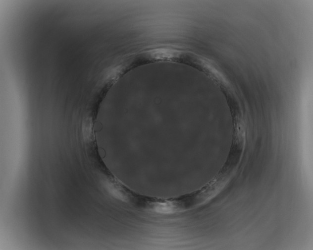 X0000108480411200904031434