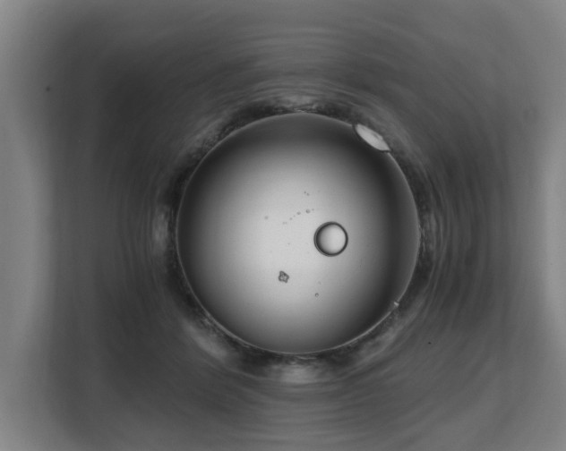 X0000108480412200904031434