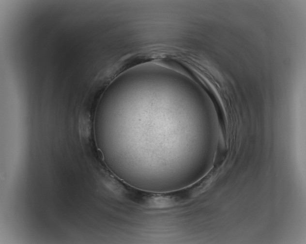 X0000108480413200904031434
